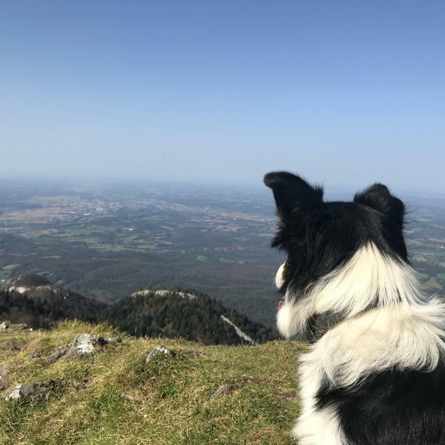 Gite Cap De La Hont Laruns Exteriör bild